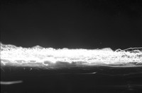 0029505