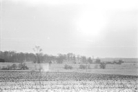0029806