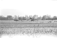 0029807