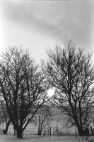 0029803