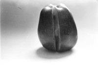 00299b23