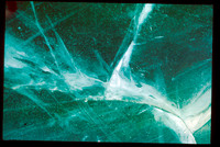 1981 / 02 February