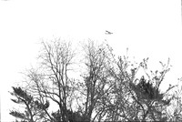 0030831