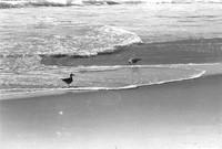 0030901