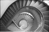 0036233