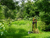 P7150005