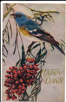 PCBirdHappyDaysA