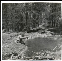 DaveGoldPanning