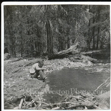 DaveGoldPanning