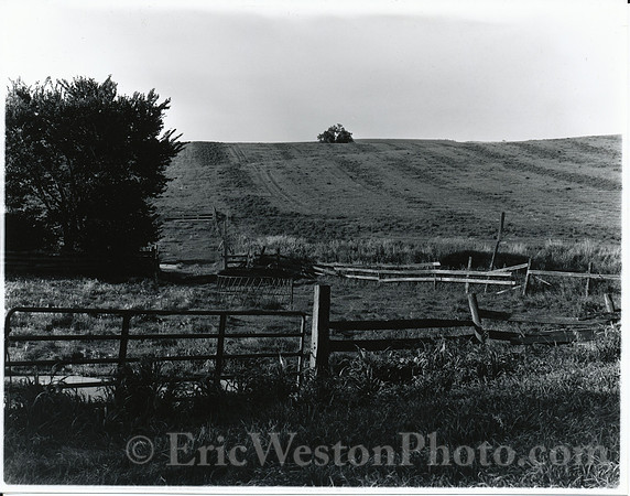 WestonFarmPastureN