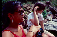 sl198408a11
