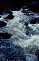 sl198408a07