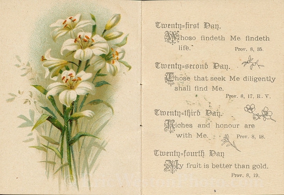 AdventBooklet05