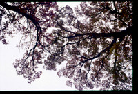 sl19841128c03