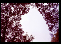 sl19841128c11