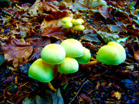 100_0759.JPG
