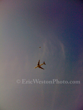 IMG_1424