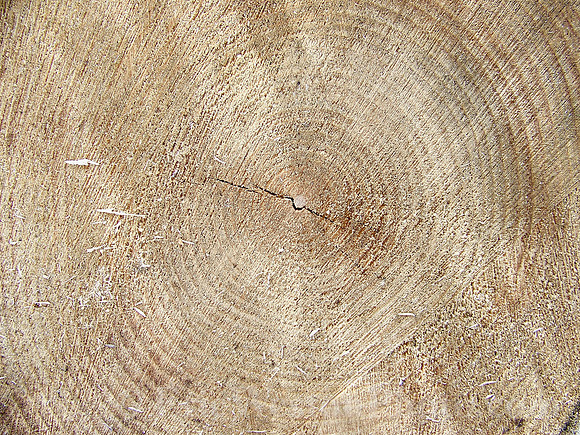 100_9368