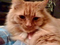 2012 / 03 March