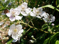 P6140057