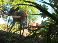 P6190061