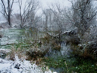 PC080084