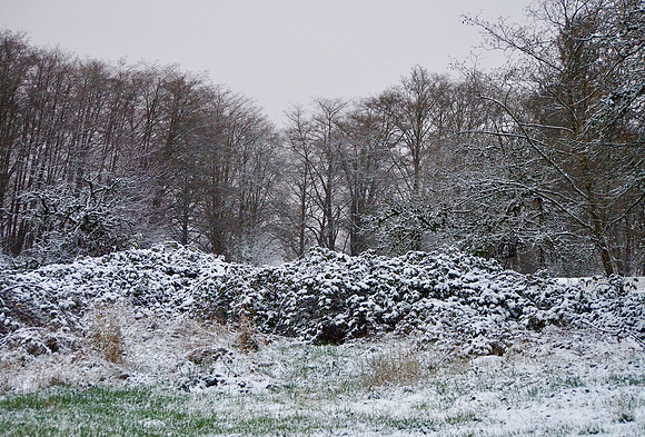 PC080026