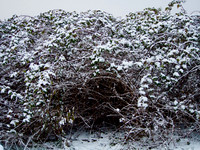 PC080014