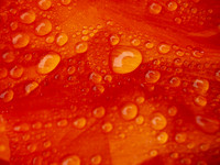P6010004