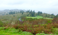 P4140010