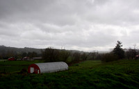 P4070010