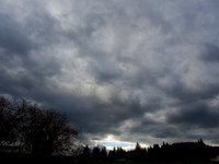 P2110026