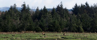 P2140007
