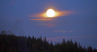 PA040047