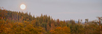 PA040033