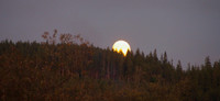 PA040019