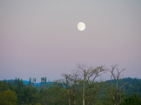 PA030006