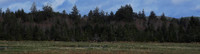 P2140006