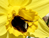 P3120004