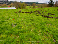 P4090026