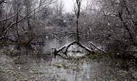 P2050037
