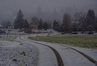 P2050039