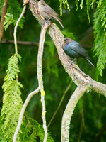 P5040040
