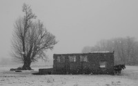 P2050035