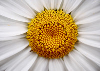 P7100070