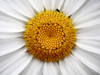 P7100072