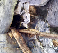 P8120261
