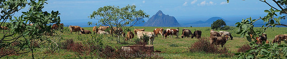 P8130545
