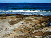 P8130559