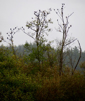 P9050017